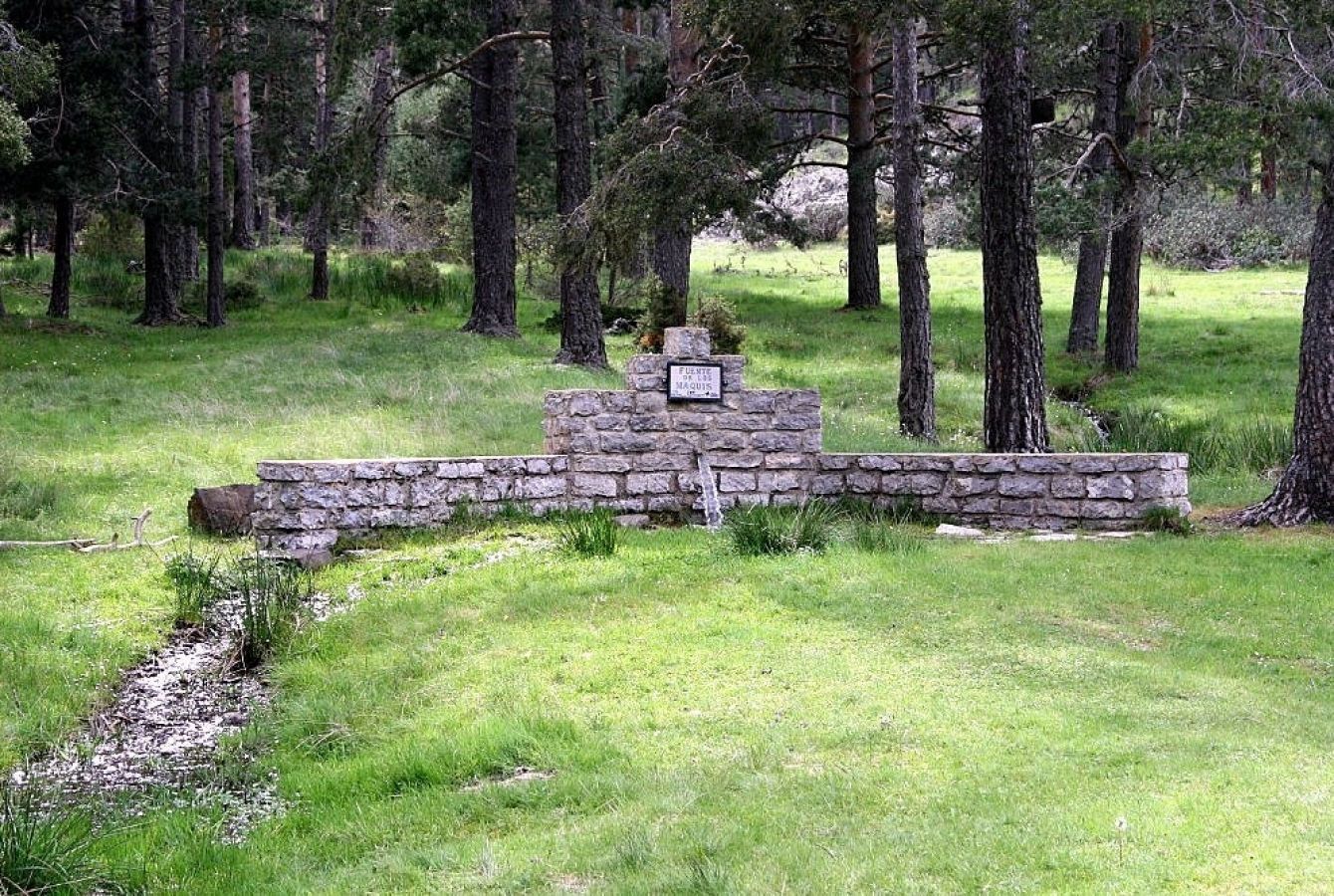 fuente-noguera