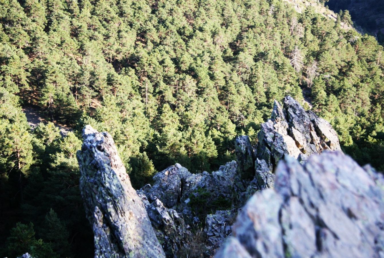 riqueza geologica noguera